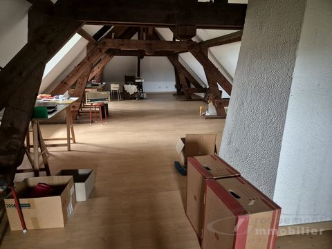 photo no. 16