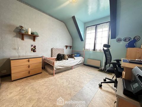 photo no. 12