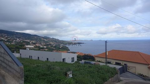 Terreno fantastico con 1680 m2, situato nella parrocchia di Gaula, con fattibilità per la costruzione di tre case, situato vicino alla strada, zona tranquilla, vista eccellente, vicino al centro della città di Santa Cruz. Nelle vicinanze si possono t...