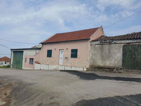 Oportunidade para adquirir este ativo com duas casas de rés-do-chão e um armazém, situado na localidade da Usseira, em Óbidos, distrito de Leiria. Situado numa área muito tranquila, o imóvel beneficia da proximidade a estabelecimentos comerciais, ser...