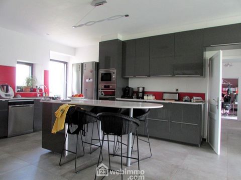 photo no. 11
