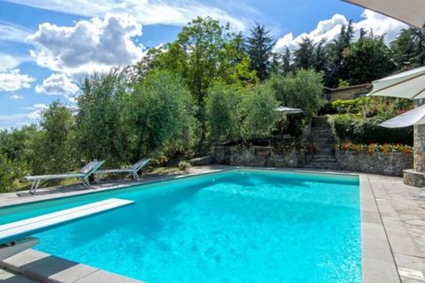 La casa di campagna indipendente vicino Firenze offre un ampio giardino recintato con piscina e idromassaggio riscaldato, sauna e tavolo da ping pong, TV SAT