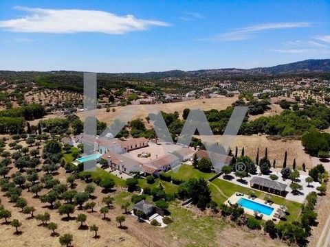 Venez découvrir cette fantastique Herdade dans l’Aldeia da Serra d’Ossa, près de Redondo (Évora), où vous pourrez vivre pleinement l’Alentejo ! Située au cœur de l'Alentejo, la Herdade a une superficie totale de 76 hectares où vous trouverez une mais...