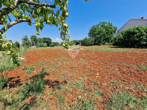 Location: Istarska županija, Novigrad, Novigrad. Istria, Novigrad! In a quiet village, just a few minutes' drive from Novigrad, there is this excellent building plot! The total area of ​​the land is 1119 m2, of which 666 is the construction part and ...