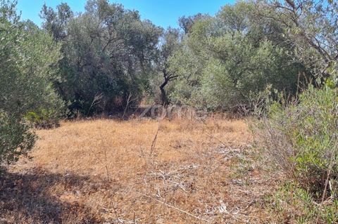 Property identification: ZMPT569366 Fantastic Rustic Land with 3,320m2 in Barranco Longo, Algoz. Easy access and electricity nearby. Book your visit now and come and see this fantastic business opportunity. 3 reasons to buy with Zome + accompaniment ...