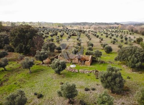 Rustikales Anwesen von 2,42 Hektar (24,225 m2) in ruhiger Lage und ländlicher Gegend, 7 Kilometer von der spanischen Grenze und 15 Kilometer von Penamacor, Bezirk Castelo Branco, entfernt. Es gibt eine Steinruine mit 3 Abteilungen für die Renovierung...