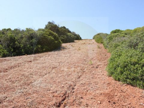 Este terreno rústico de 2.634 m² localiza-se na pitoresca freguesia da Figueira, em Vila do Bispo, oferecendo uma localização privilegiada rodeada pela beleza natural do Algarve. Com ligeira inclinação e formato estreito, está inserido em uma vizinha...