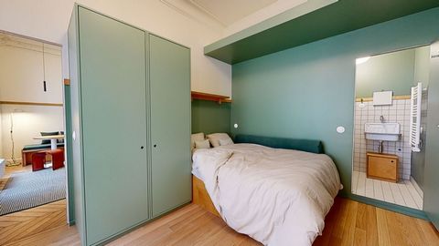 photo no. 11