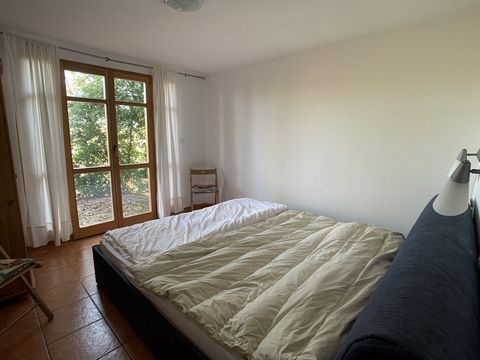 photo no. 16