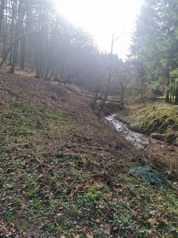 Land mit Wald zu verkaufen! Wir haben Waldflächen zur Verfügung, die sich perfekt zum Entspannen oder für persönliche Projekte eignen! Frische Luft, Ruhe und ein Stück Natur nur für Sie! Standort: 66954 Pirmasens (Hengberg) Fläche: 2.452 m² Preis: 9....