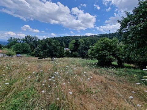 Terrain à vendre de 1271 m² orienté SUD sur la commune de MARCOUX, 12 minutes de MONTBRISON