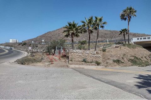 Grande opportunità economica LOT a Terrazas del Mar Rosarito, a 5 minuti dal mare di Calafia, vicino al corridoio turistico di Popotla e alla zona turistica, la zona è molto tranquilla e non densamente popolata. Con una vista panoramica invidiabile a...