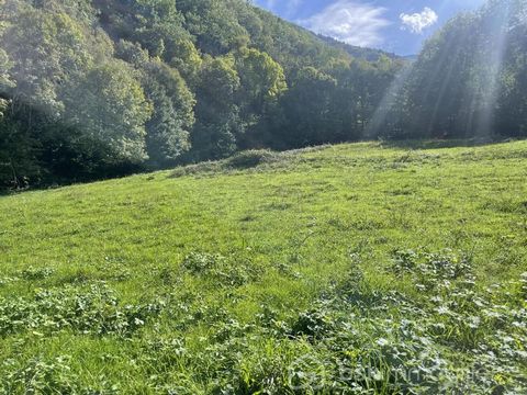 Excelente oportunidad para adquirir una parcela edificable en una zona muy popular. La puerta de entrada a la Maurienne en Saboya es una ubicación estratégica, especialmente con la proximidad de las estaciones de esquí y en el cruce de ciudades. A 25...