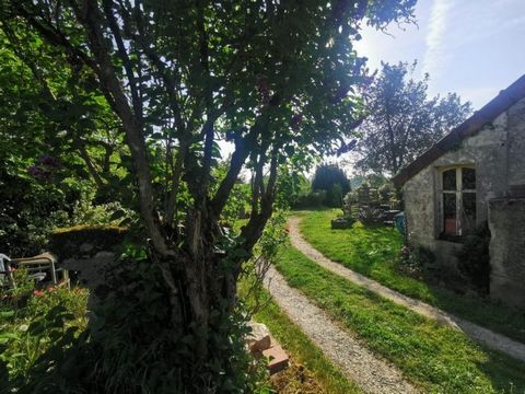 photo no. 12