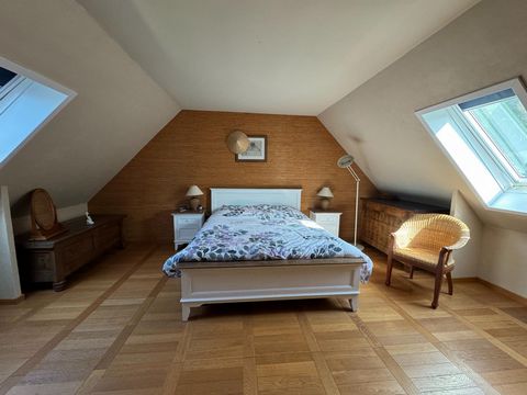 photo no. 15