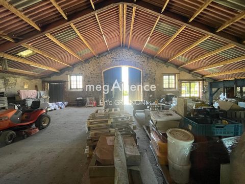 photo no. 3