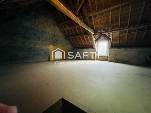 photo no. 6