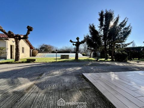 photo no. 17