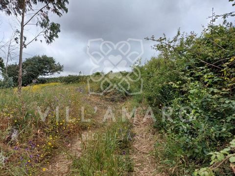 Terreno rústico com declive e vista muito bonita na Arrifana junto a Igreja Nova com 9125m2. Tem 2 acessos. Muito soalheiro, ideal para cultivo agrícola. Categoria Energética: Isento #ref:3490