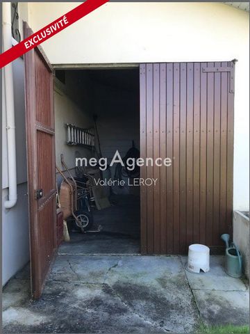 photo no. 11