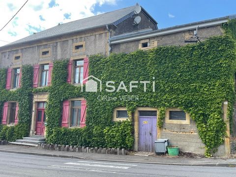 photo no. 12