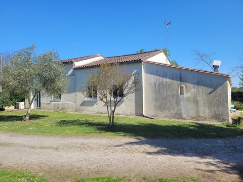 photo no. 2