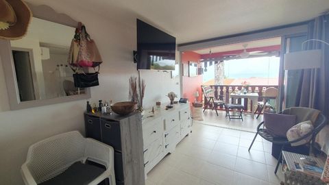 photo no. 2