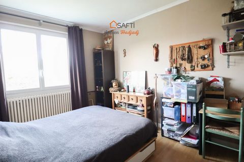 photo no. 7