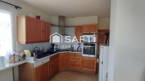 photo no. 11