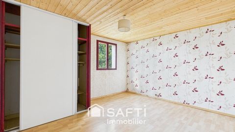 photo no. 9
