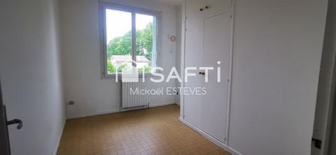 photo no. 8