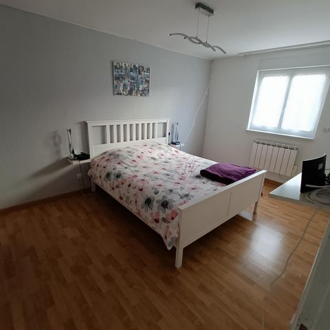 photo no. 11