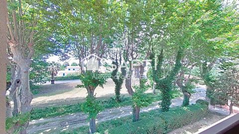 photo no. 3