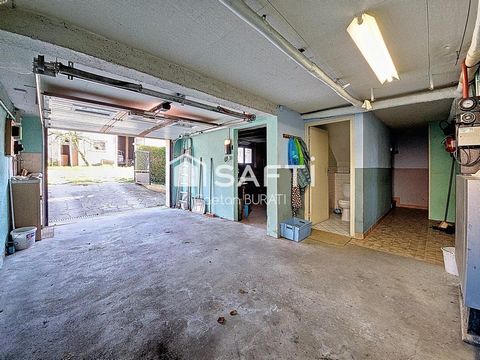 photo no. 12