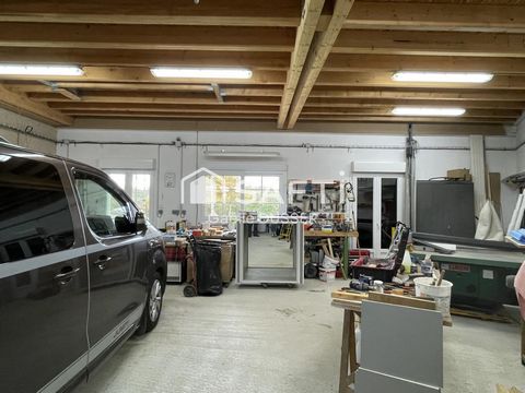 photo no. 12