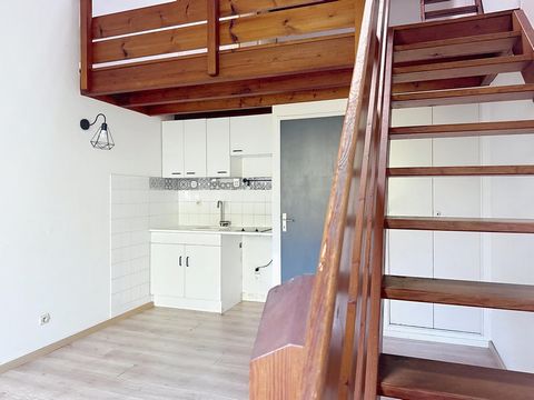 photo no. 3
