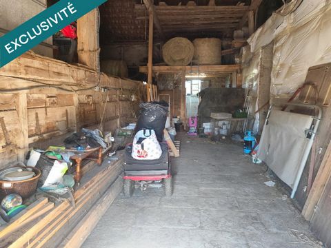 photo no. 11