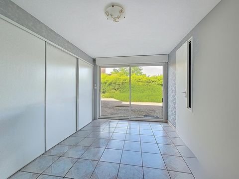 photo no. 11