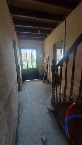photo no. 12