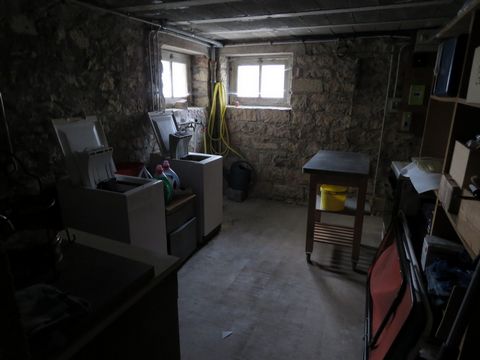 photo no. 15
