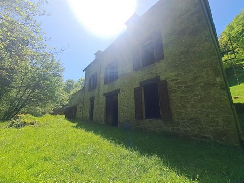 photo no. 3