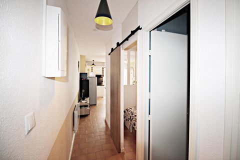 photo no. 8