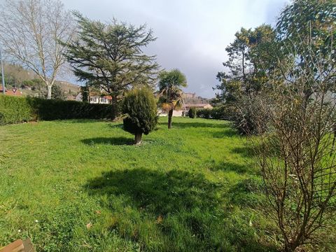 photo no. 4