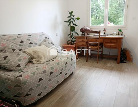 photo no. 8