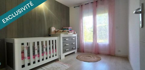 photo no. 6