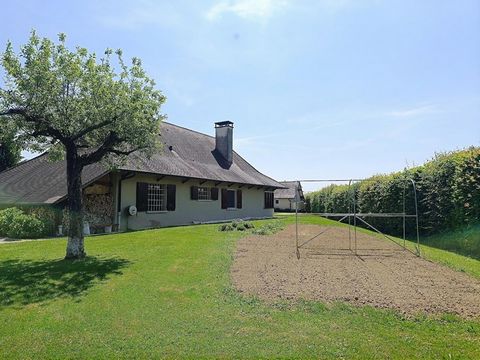 photo no. 16