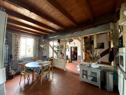 photo no. 10
