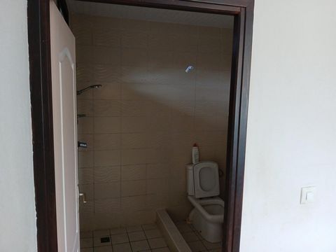 photo no. 6