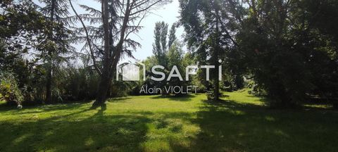 photo no. 11