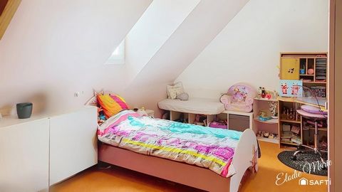 photo no. 12